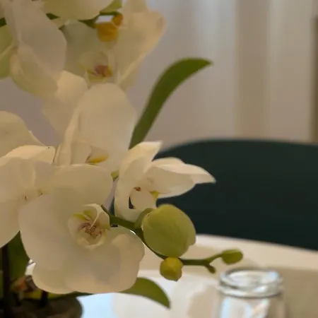 Hotel apartamentowy Residence Sanremo San Remo