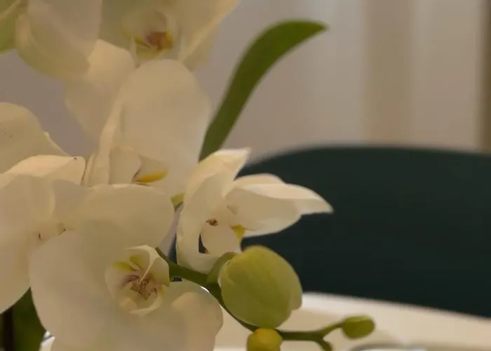 아파트호텔 Residence Sanremo 산레모