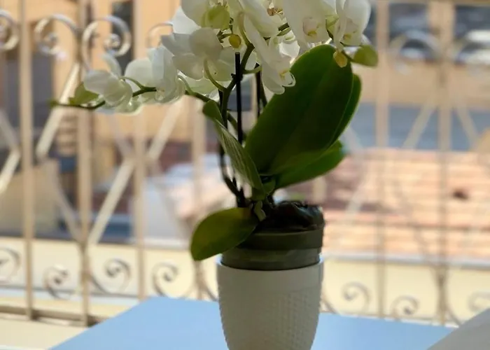 Residence Sanremo 3*